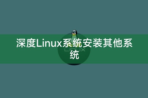 安装其他系统在深度Linux系统上