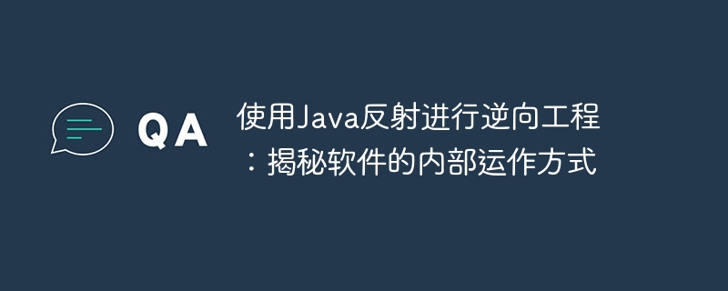 使用Java反射进行逆向工程：揭秘软件的内部运作方式