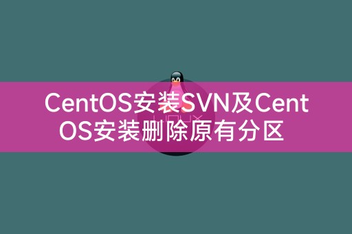 CentOS安装SVN及CentOS安装删除原有分区