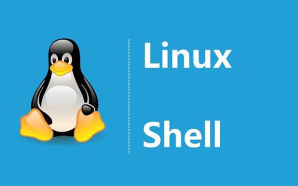 Linux常见的Shell脚本及其用途