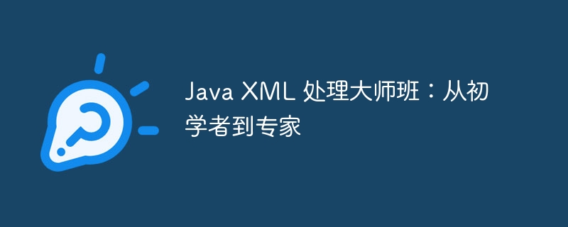 Java XML 处理大师班：从初学者到专家