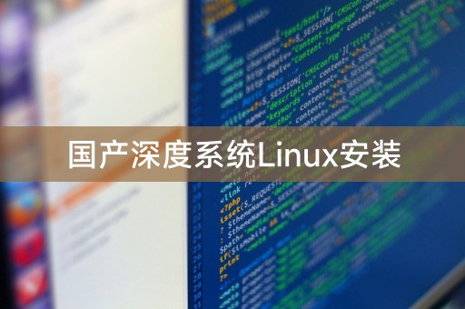 安装国产的深度Linux操作系统