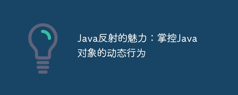 Java反射的魅力：掌控Java对象的动态行为