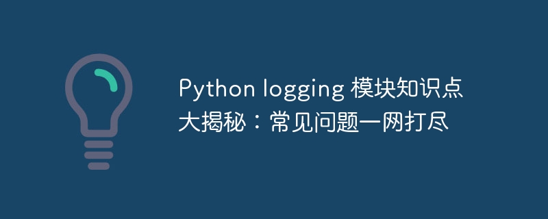Python logging 模块知识点大揭秘：常见问题一网打尽