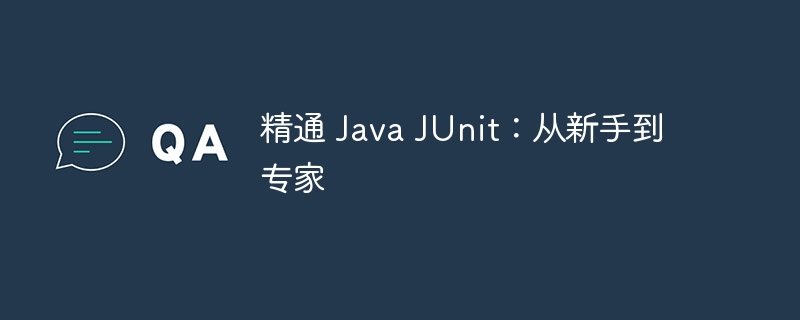 精通 Java JUnit：从新手到专家