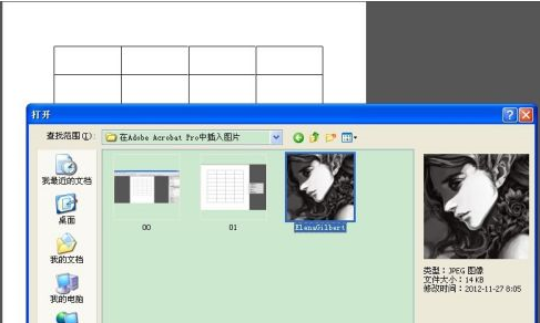 Adobe Acrobat Pro9怎样插入图片-Adobe Acrobat Pro9插入图片的方法