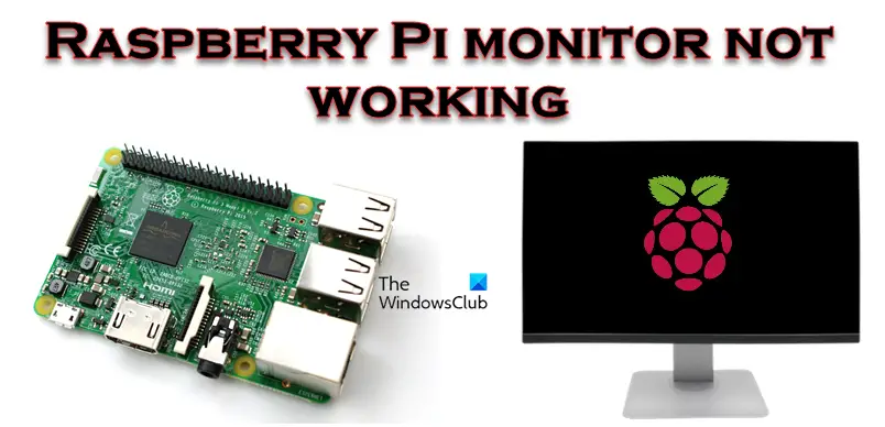 Raspberry PI监视器不工作；启动后不显示