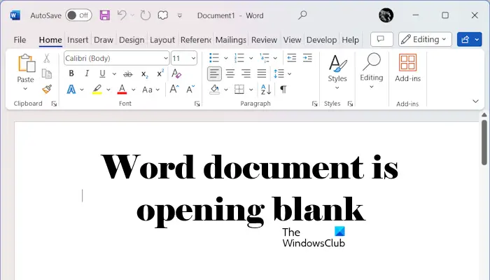 Windows 11/10上打开Word文档时只显示空白