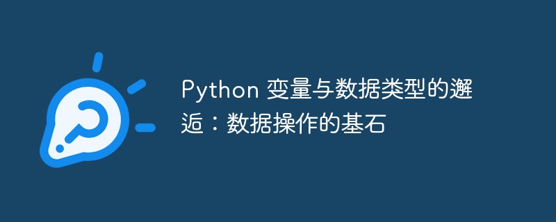 Python 变量与数据类型的邂逅：数据操作的基石