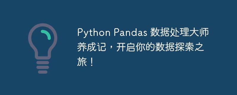 Python Pandas 数据处理大师养成记，开启你的数据探索之旅！