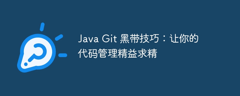 Java Git 黑带技巧：让你的代码管理精益求精