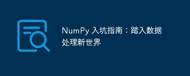 NumPy 入坑指南：踏入数据处理新世界