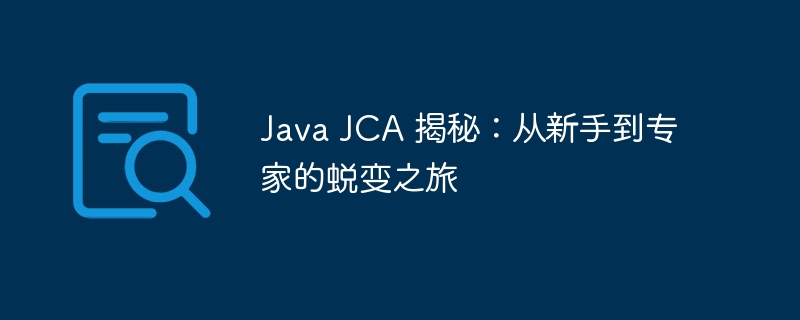Java JCA 揭秘：从新手到专家的蜕变之旅