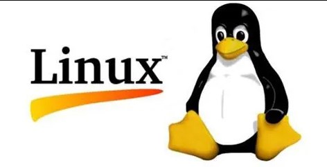Linux文件系统：深入探秘统计神器