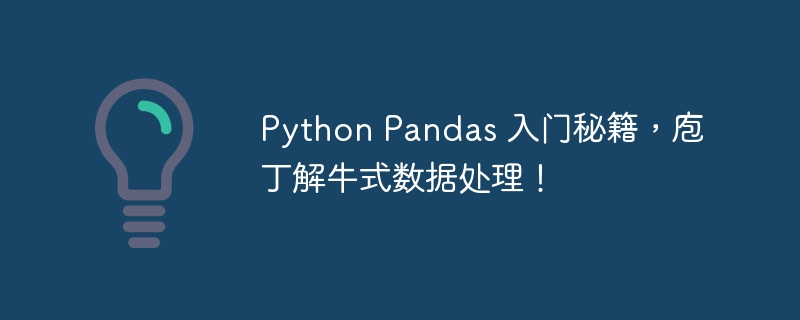Python Pandas 入门秘籍，庖丁解牛式数据处理！