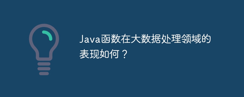 Java函数在大数据处理领域的表现如何？