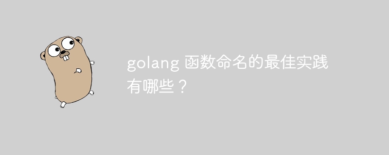 golang 函数命名的最佳实践有哪些？