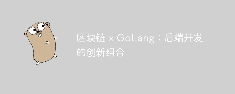 区块链 × GoLang：后端开发的创新组合