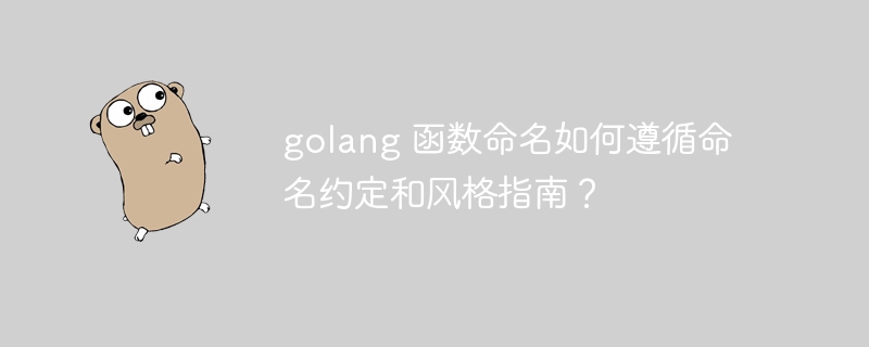 golang 函数命名如何遵循命名约定和风格指南？