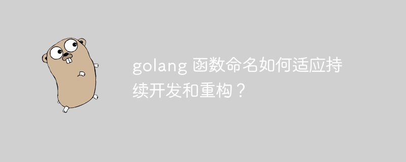 golang 函数命名如何适应持续开发和重构？