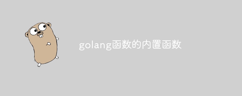 golang函数的内置函数