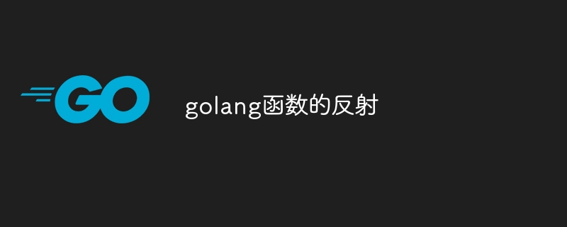 golang函数的反射