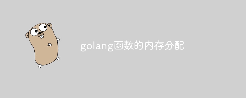 golang函数的内存分配
