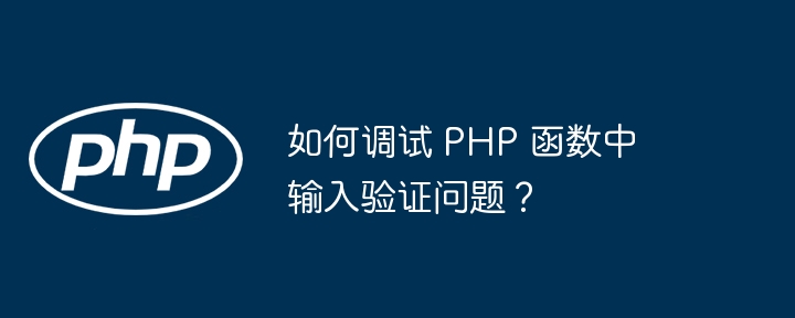 如何调试 PHP 函数中输入验证问题？