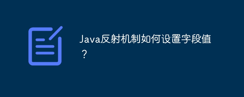 Java反射机制如何设置字段值？