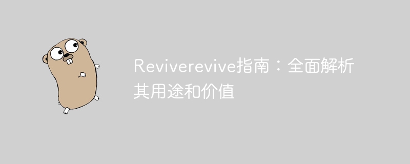 Reviverevive指南：全面解析其用途和价值