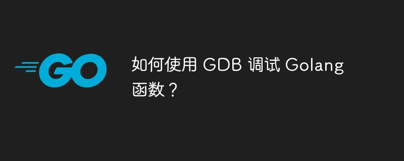 如何使用 GDB 调试 Golang 函数？