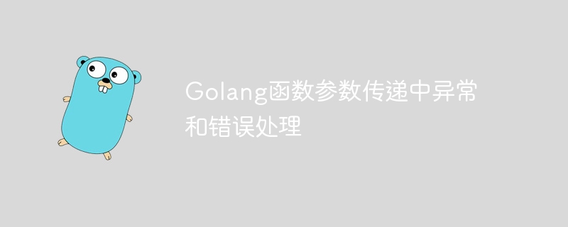 Golang函数参数传递中异常和错误处理