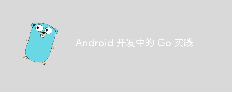 Android 开发中的 Go 实践