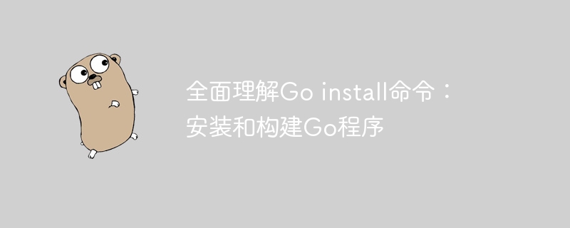 全面理解Go install命令：安装和构建Go程序