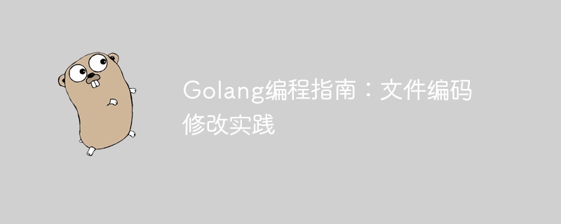 Golang编程指南：文件编码修改实践