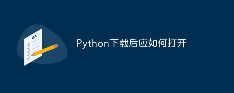 Python下载后应如何打开