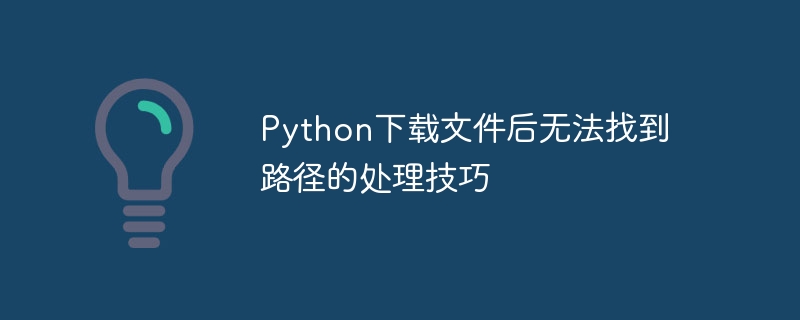 Python下载文件后无法找到路径的处理技巧