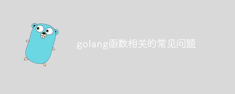 golang函数相关的常见问题