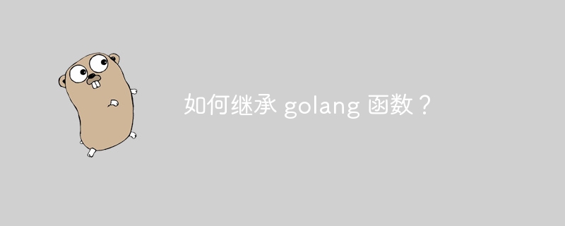 如何继承 golang 函数？