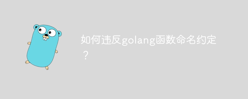 如何违反golang函数命名约定？