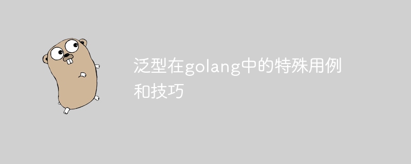 泛型在golang中的特殊用例和技巧