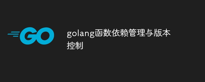 golang函数依赖管理与版本控制
