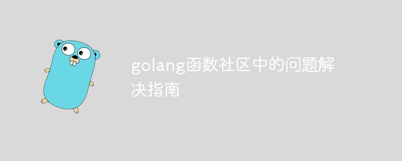golang函数社区中的问题解决指南