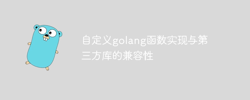 自定义golang函数实现与第三方库的兼容性