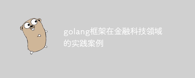 golang框架在金融科技领域的实践案例