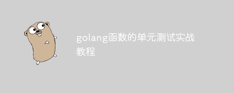 golang函数的单元测试实战教程