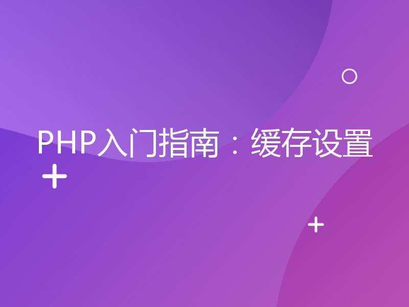 PHP入门指南：缓存设置