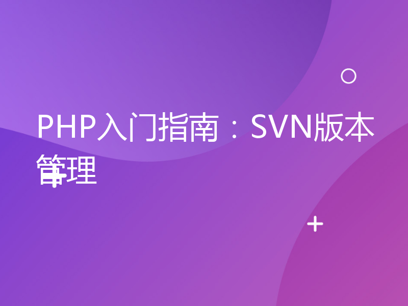 PHP入门指南：SVN版本管理