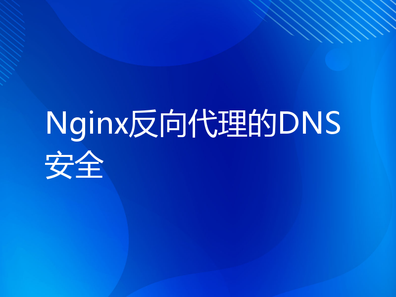 Nginx反向代理的DNS安全