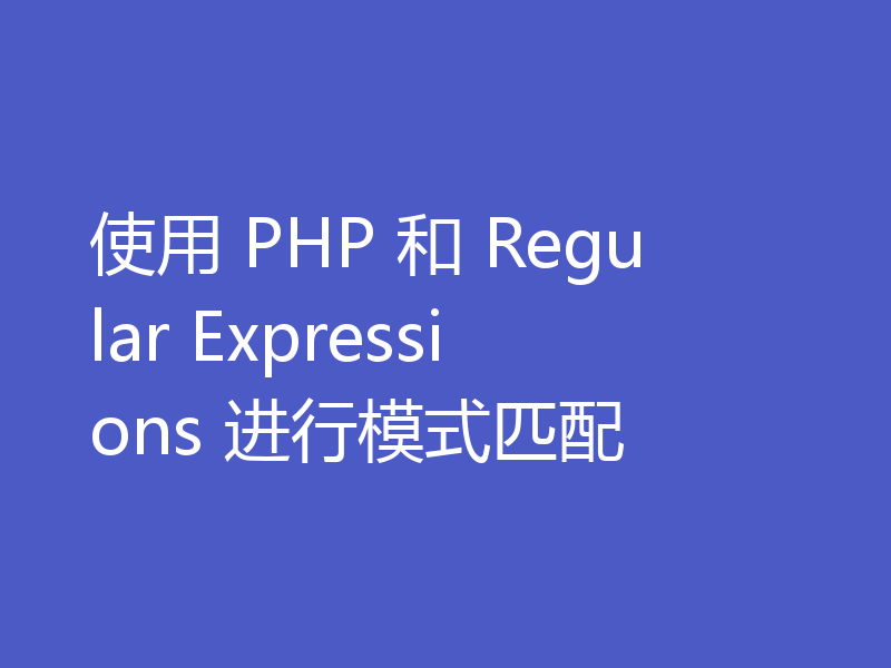 使用 PHP 和 Regular Expressions 进行模式匹配